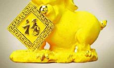 2022年属猪的人正财运势如何？详细分析与解读