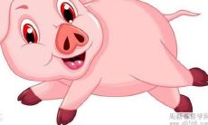 探究1971年属猪男命的2022年婚姻运势：从婚恋角度出发的全面分析