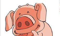 详解2021年各方面运势,包括生肖属猪的83年出生人的运程