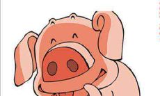 属猪者在2021年是否具备创业条件?财运展望如何?