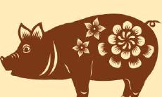 如何评估2021年对属猪女性的全面运势表现:财运、事业、爱情及健康?