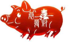 需要注意哪些相克属相和属于生肖猪的人们？