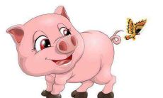 2021年59年出生、属猪的男性财运展望：投资行动不宜，財富積累需慎重！