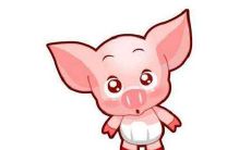 什么月份出生的生肖属猪人被认为是一等命？探究属猪人哪个月份出生对命运最有利