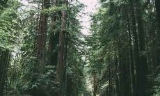 属猪人买房的10大禁忌：是否应该选择位于10楼的房产？