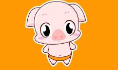 2020年6月，生肖属猪的人运势和事业发展前景如何？