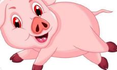 2021牛年针对生肖猪男的综合健康运势解析及建议