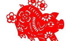 哪个月份最适合2021年生肖猪结婚?寻找最佳结婚日期的建议和指南