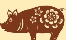 属猪人:季节决定命运,哪几个月出生命运最优?