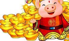 属猪的人在2021年农历八月,事业运势会有怎样的表现呢?