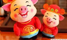 2021年农历五月,属猪的人的花运势如何?恋爱感情的发展态势又如何呢?