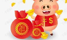 哪个时辰出生的属猪人命运最佳?寻找属猪人生中最有利的诞生时刻