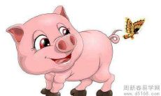 2022年1月,作为属猪男性的你,运势将如何发展?