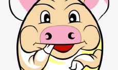 28岁后,属猪人是否会逐渐变得更加优秀:以1995年出生为例