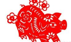 2022年1月,身为属猪女性的你,事业运势将如何?挥洒汗水脚踏实地,职场迎来新的期待!