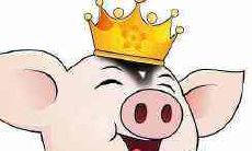 属猪人2022年11月的综合运势及吉凶预测:详解2022年11月属猪人运势如何?