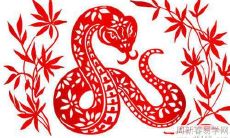 属蛇男1989年出生,揭秘2022年恋爱桃花和婚姻运势的详细预测!