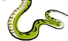 属蛇和属鼠的人可以有美好的婚姻吗？考察属相匹配的可能性及影响