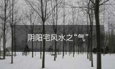 解读:如何利用气场能量优化阴阳宅风水布局?