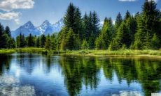 哪些星座表现可靠、赢得信赖,对爱情绝对忠贞不二?