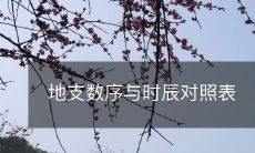 详细的地支数序与时辰对照表,让你轻松了解每个时刻的干支组合!