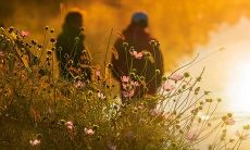 究竟是哪一款星座男在十二宫之中追求完美、思维过程细腻,尤其注重细节?