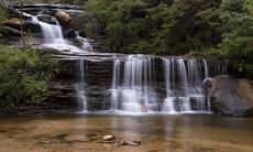 2021年6月驾轻就熟、轻轻松松迎来桃花运——揭秘四大星座最佳感情婚姻运势!