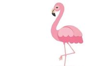 如何在家中布置财位并放置招财神物,以提高自身的财运境遇