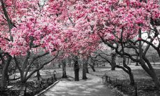 这四个星座无论遇到什么情况都绝不轻易发怒