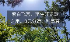 如何运用紫白飞宫辨别生旺与退煞,通过3元分运和判盛衰荣枯之时进行预测?