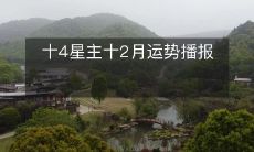 十四位知名星座专家共同解读十二个月的运势,即将精彩呈现!