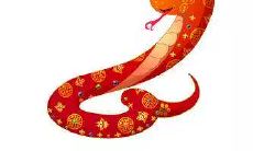 如何在2021年蛇年属相的人找到最佳财运方位以迎来财富?