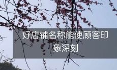 在商业竞争激烈的市场中，选择一个好店铺名称能够产生深刻的顾客印象，从而赢得消费者的青睐和商业成功