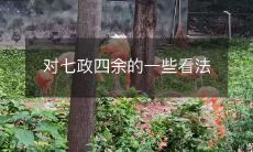 我对七政四余的角色和影响的个人观点和评价