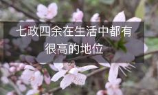 在我们的日常生活中，七政四余所占据的地位极为重要且不可忽视