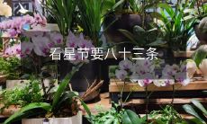 一份详细的指南:参加看星节需要遵守的八十三条规定