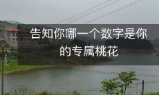 揭示你独一无二的桃花数字,指引爱情之路
