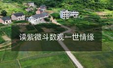 阅读紫微斗数：探索亿万情缘世界的奇妙之旅