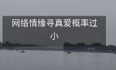 在网络情缘中寻找真爱的成功率极为微小