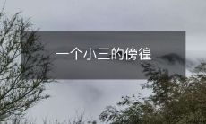 一位身份不明的小三在各种场合徘徊,无穷尽的寻找……