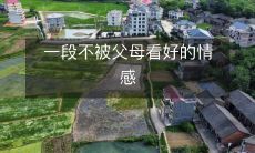 时间被父母反对的情感之路:探索一种不被家人认可的感情状态