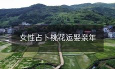 度排名,见证爱情成功的秘诀!