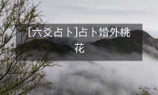 [六爻占卜]通过六爻占卜来预测和化解婚外桃花问题，帮助您创造幸福美满的婚姻