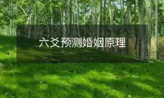 揭秘六爻预测婚姻的深层原理和工作机制