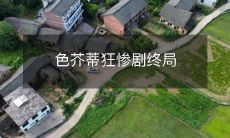 惨烈结局！色芥蒂狂热者的命运如何收场？