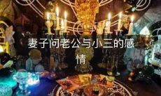 详细询问丈夫与第三者的感情状况以及对婚姻关系的影响的行为