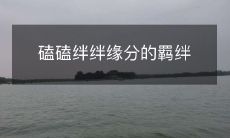 曲折而美丽的缘分——磕磕绊绊中的羁绊