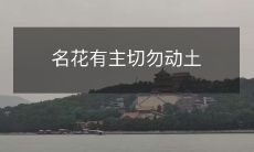 在寻找爱情时,请不要侵犯他人的感情,拥有主人的美丽花朵应该被爱护而不是摘走土根