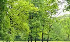 2020年11月9日,寻求喜神方位?探究吉神所在之处和最有利之方向!