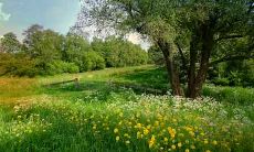 2020年11月4日哪个方向是喜神方位?哪个方向是吉神方位?哪个方向最为吉利?